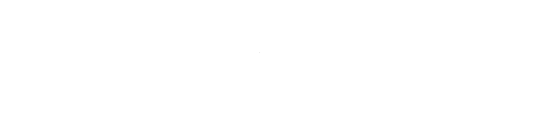 BizJets VA